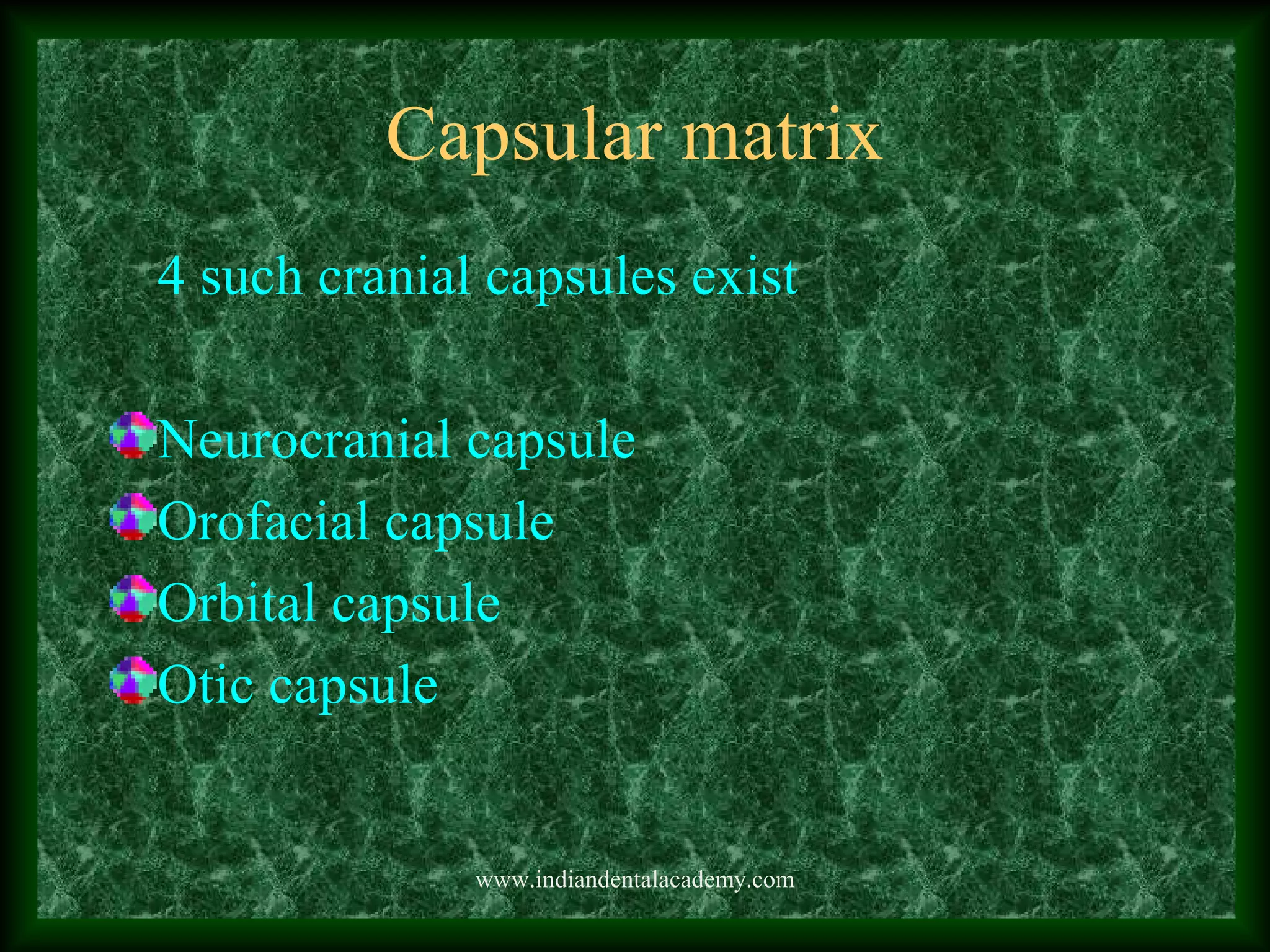 Capsular matrix
4 such cranial capsules exist
Neurocranial capsule
Orofacial capsule
Orbital capsule
Otic capsule
www.indiandentalacademy.com
 