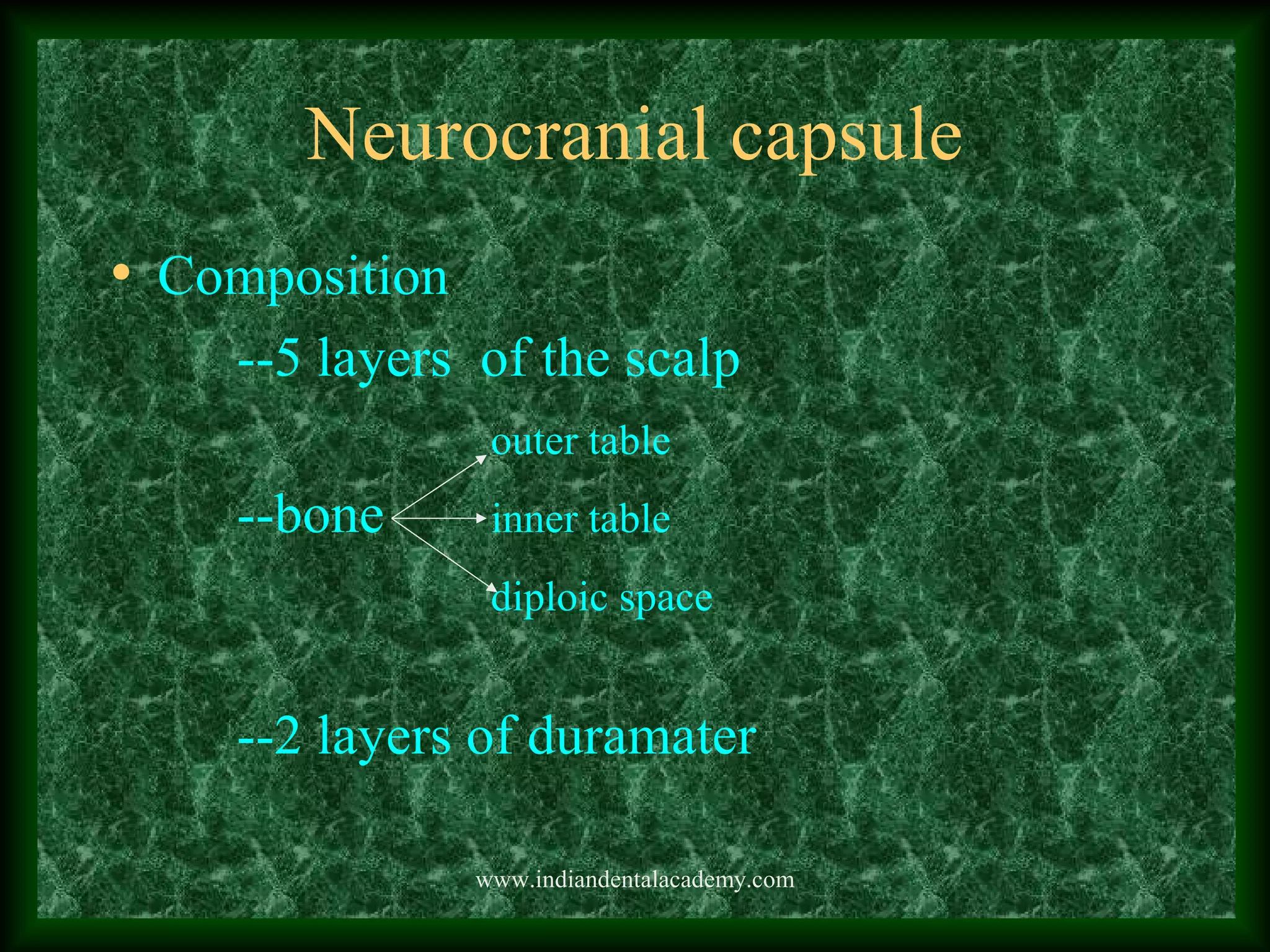 Neurocranial capsule
• Composition
--5 layers of the scalp
outer table
--bone inner table
diploic space
--2 layers of duramater
www.indiandentalacademy.com
 