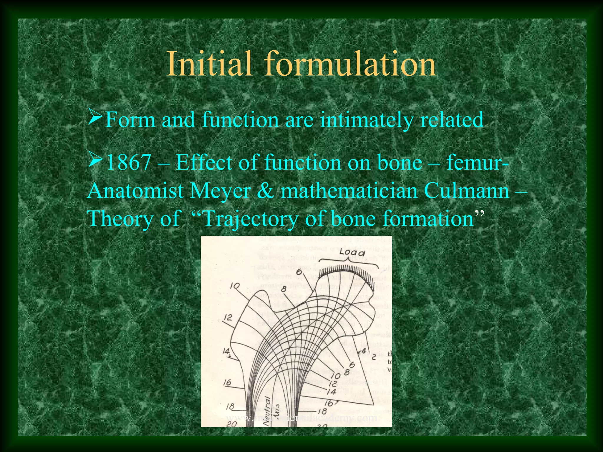 Initial formulation
Form and function are intimately related
1867 – Effect of function on bone – femur-
Anatomist Meyer & mathematician Culmann –
Theory of “Trajectory of bone formation”
www.indiandentalacademy.com
 