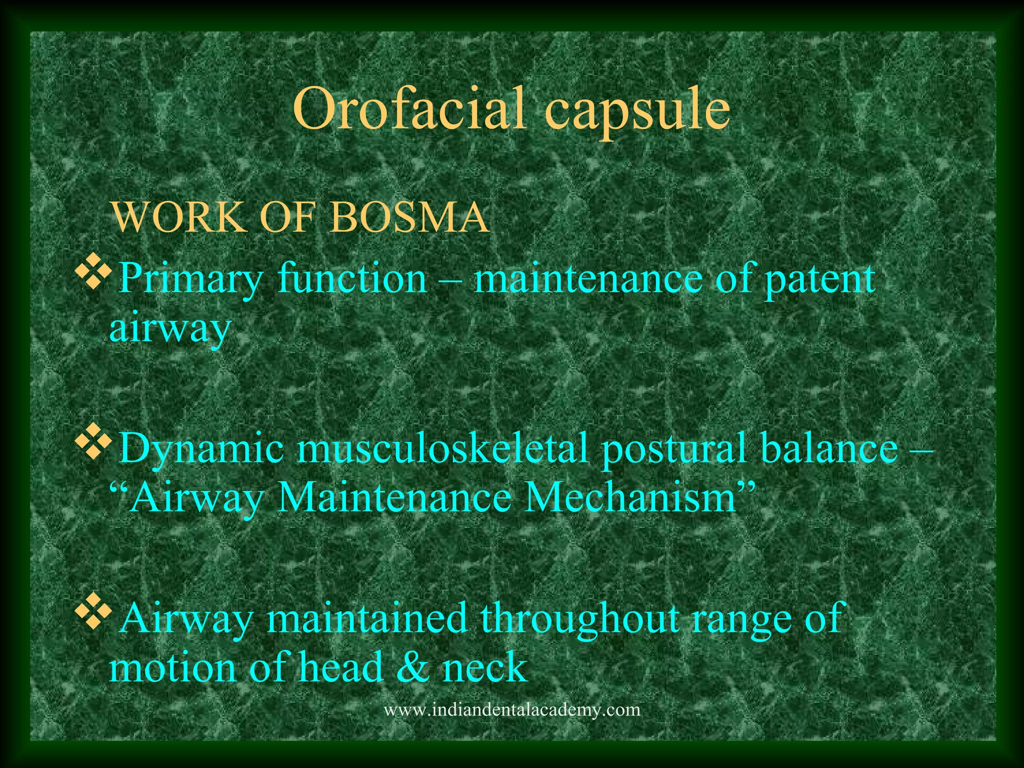 Orofacial capsule
WORK OF BOSMA
Primary function – maintenance of patent
airway
Dynamic musculoskeletal postural balance –
“Airway Maintenance Mechanism”
Airway maintained throughout range of
motion of head & neck
www.indiandentalacademy.com
 