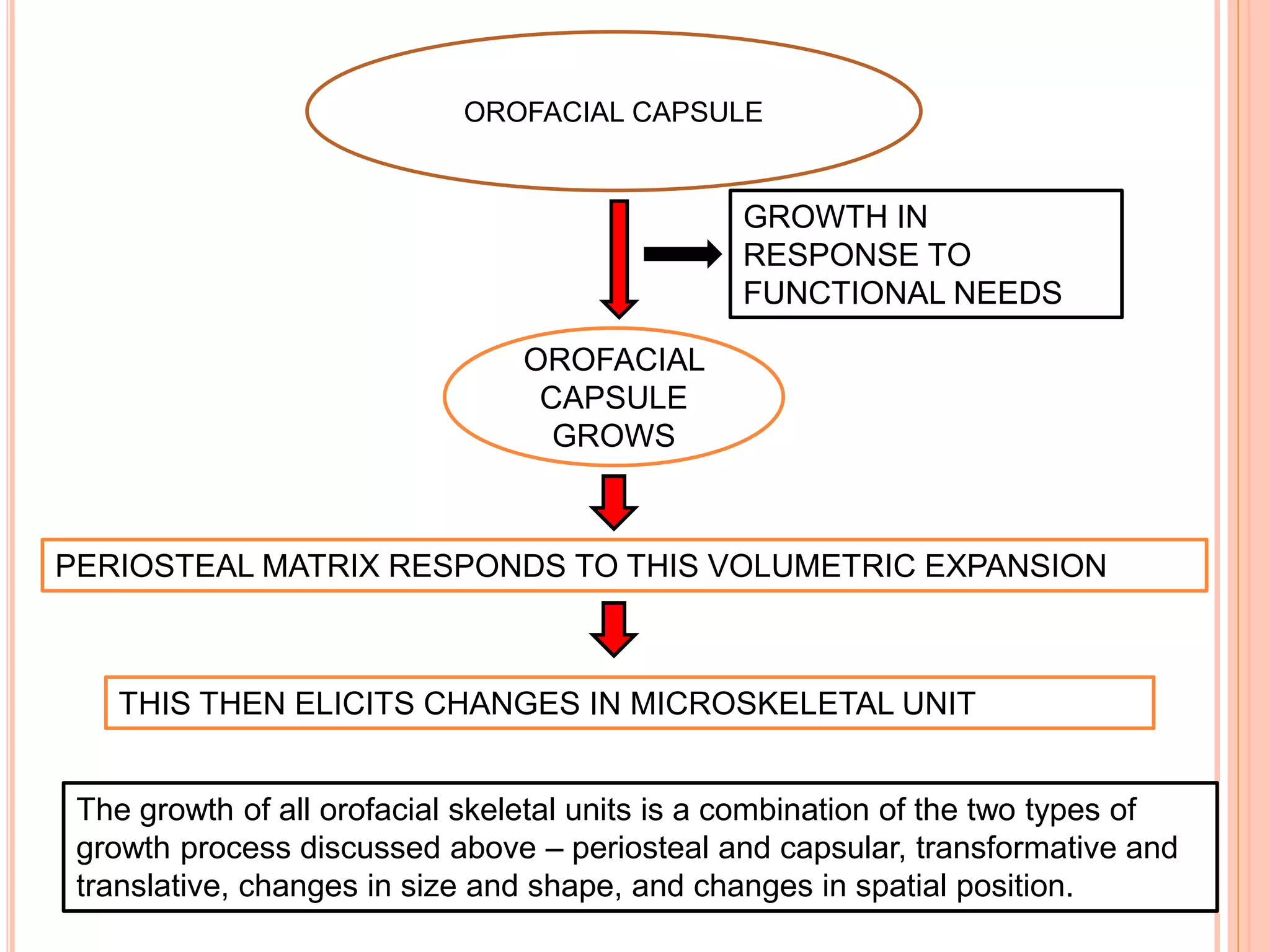 OROFACIAL CAPSULE
OROFACIAL
CAPSULE
GROWS
PERIOSTEAL MATRIX RESPONDS TO THIS VOLUMETRIC EXPANSION
THIS THEN ELICITS CHANGES IN MICROSKELETAL UNIT
The growth of all orofacial skeletal units is a combination of the two types of
growth process discussed above – periosteal and capsular, transformative and
translative, changes in size and shape, and changes in spatial position.
GROWTH IN
RESPONSE TO
FUNCTIONAL NEEDS
 