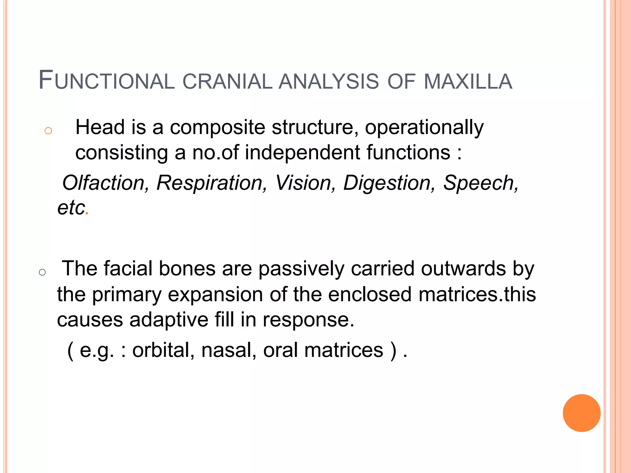 FUNCTIONAL CRANIAL ANALYSIS OF MAXILLA
o Head is a composite structure, operationally
consisting a no.of independent functions :
Olfaction, Respiration, Vision, Digestion, Speech,
etc.
o The facial bones are passively carried outwards by
the primary expansion of the enclosed matrices.this
causes adaptive fill in response.
( e.g. : orbital, nasal, oral matrices ) .
 