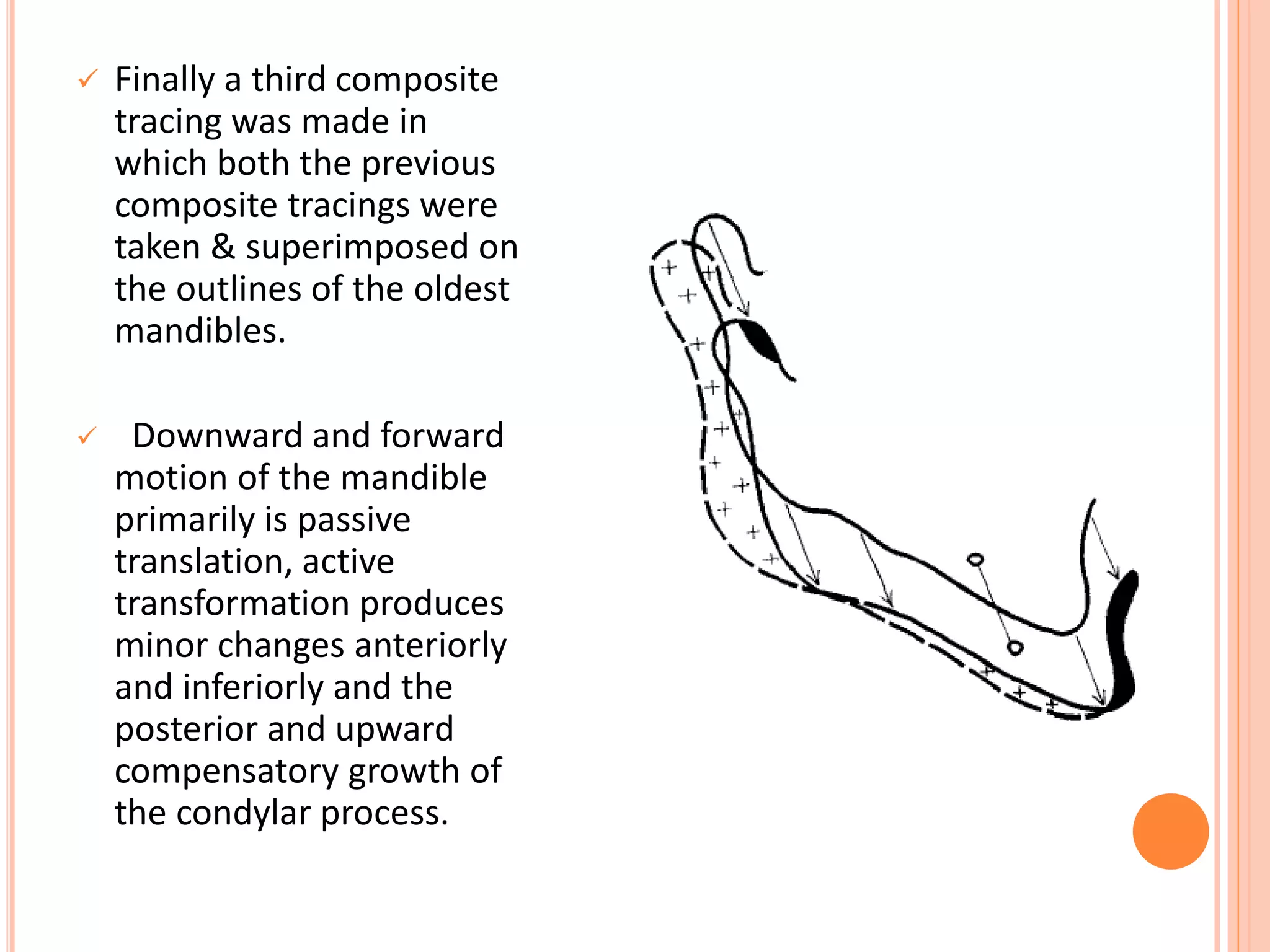  Finally a third composite
tracing was made in
which both the previous
composite tracings were
taken & superimposed on
the outlines of the oldest
mandibles.
 Downward and forward
motion of the mandible
primarily is passive
translation, active
transformation produces
minor changes anteriorly
and inferiorly and the
posterior and upward
compensatory growth of
the condylar process.
 