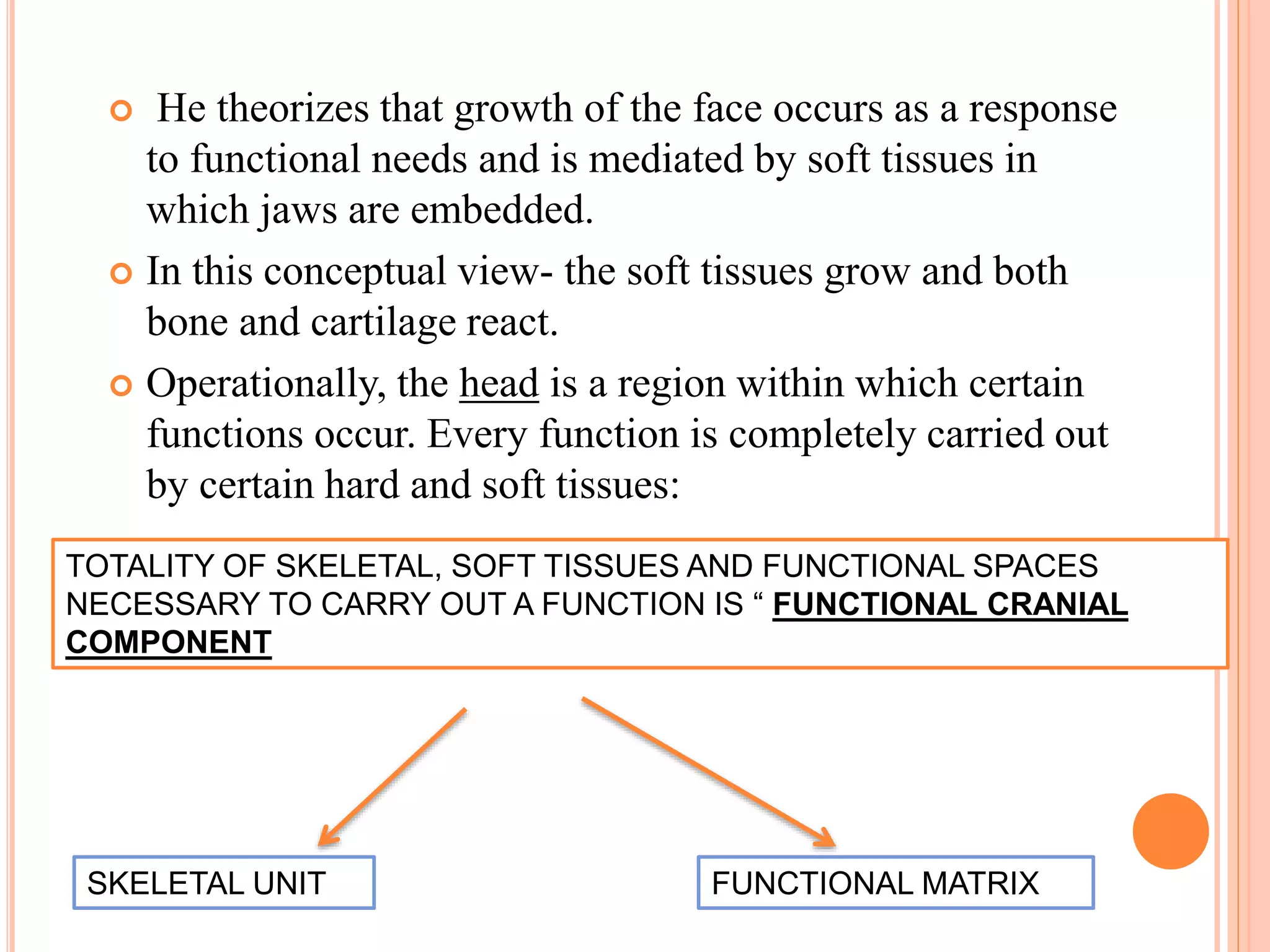 He theorizes that growth of the face occurs as a response
to functional needs and is mediated by soft tissues in
which jaws are embedded.
 In this conceptual view- the soft tissues grow and both
bone and cartilage react.
 Operationally, the head is a region within which certain
functions occur. Every function is completely carried out
by certain hard and soft tissues:
SKELETAL UNIT FUNCTIONAL MATRIX
TOTALITY OF SKELETAL, SOFT TISSUES AND FUNCTIONAL SPACES
NECESSARY TO CARRY OUT A FUNCTION IS “ FUNCTIONAL CRANIAL
COMPONENT
 