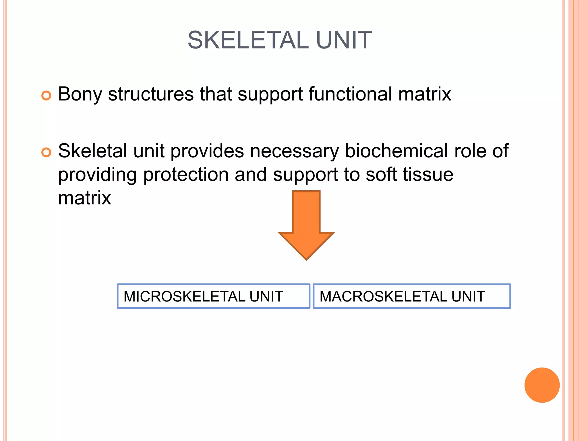SKELETAL UNIT
 Bony structures that support functional matrix
 Skeletal unit provides necessary biochemical role of
providing protection and support to soft tissue
matrix
MICROSKELETAL UNIT MACROSKELETAL UNIT
 