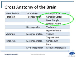Gross Anatomy of the Brain
Vivek Misra
 