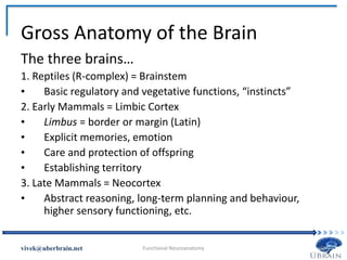 Gross Anatomy of the Brain
The three brains…
1. Reptiles (R-complex) = Brainstem
• Basic regulatory and vegetative functions, “instincts”
2. Early Mammals = Limbic Cortex
• Limbus = border or margin (Latin)
• Explicit memories, emotion
• Care and protection of offspring
• Establishing territory
3. Late Mammals = Neocortex
• Abstract reasoning, long-term planning and behaviour,
higher sensory functioning, etc.
Vivek Misra
 