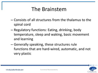 The Brainstem
– Consists of all structures from the thalamus to the
spinal cord
– Regulatory functions: Eating, drinking, body
temperature, sleep and waking, basic movement
and learning
– Generally speaking, these structures rule
functions that are hard-wired, automatic, and not
very plastic
Vivek Misra
 