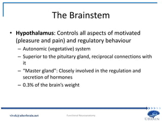 The Brainstem
• Hypothalamus: Controls all aspects of motivated
(pleasure and pain) and regulatory behaviour
– Autonomic (vegetative) system
– Superior to the pituitary gland, reciprocal connections with
it
– “Master gland”: Closely involved in the regulation and
secretion of hormones
– 0.3% of the brain’s weight
Vivek Misra
 