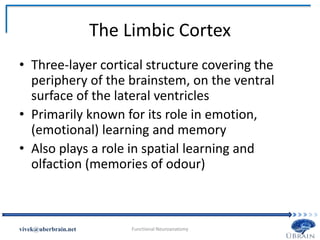 The Limbic Cortex
• Three-layer cortical structure covering the
periphery of the brainstem, on the ventral
surface of the lateral ventricles
• Primarily known for its role in emotion,
(emotional) learning and memory
• Also plays a role in spatial learning and
olfaction (memories of odour)
Vivek Misra
 