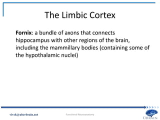 The Limbic Cortex
Fornix: a bundle of axons that connects
hippocampus with other regions of the brain,
including the mammillary bodies (containing some of
the hypothalamic nuclei)
Vivek Misra
 