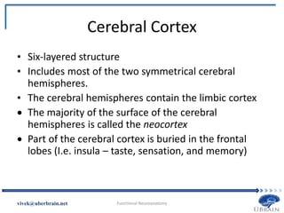 Cerebral Cortex
• Six-layered structure
• Includes most of the two symmetrical cerebral
hemispheres.
• The cerebral hemispheres contain the limbic cortex
 The majority of the surface of the cerebral
hemispheres is called the neocortex
 Part of the cerebral cortex is buried in the frontal
lobes (I.e. insula – taste, sensation, and memory)
Vivek Misra
 