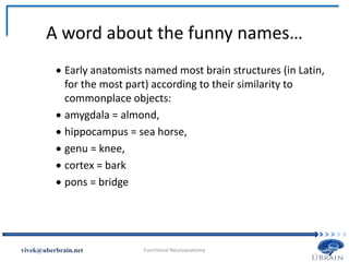 A word about the funny names…
 Early anatomists named most brain structures (in Latin,
for the most part) according to their similarity to
commonplace objects:
 amygdala = almond,
 hippocampus = sea horse,
 genu = knee,
 cortex = bark
 pons = bridge
Vivek Misra
 