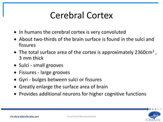 Cerebral Cortex
 In humans the cerebral cortex is very convoluted
 About two-thirds of the brain surface is found in the sulci and
fissures
 The total surface area of the cortex is approximately 2360cm3 ,
3 mm thick
 Sulci - small grooves
 Fissures - large grooves
 Gyri - bulges between sulci or fissures
 Greatly enlarge the surface area of brain
 Provides additional neurons for higher cognitive functions
Vivek Misra
 