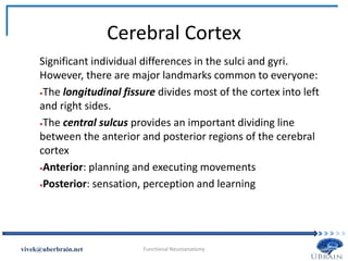 Cerebral Cortex
Vivek Misra
Significant individual differences in the sulci and gyri.
However, there are major landmarks common to everyone:
The longitudinal fissure divides most of the cortex into left
and right sides.
The central sulcus provides an important dividing line
between the anterior and posterior regions of the cerebral
cortex
Anterior: planning and executing movements
Posterior: sensation, perception and learning
 