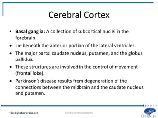 Cerebral Cortex
• Basal ganglia: A collection of subcortical nuclei in the
forebrain.
 Lie beneath the anterior portion of the lateral ventricles.
 The major parts: caudate nucleus, putamen, and the globus
pallidus.
 These structures are involved in the control of movement
(frontal lobe).
 Parkinson’s disease results from degeneration of the
connections between the midbrain and the caudate nucleus
and putamen.
Vivek Misra
 
