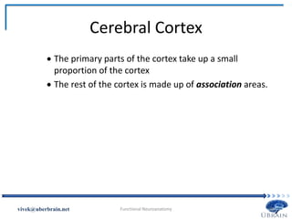 Cerebral Cortex
 The primary parts of the cortex take up a small
proportion of the cortex
 The rest of the cortex is made up of association areas.
Vivek Misra
 