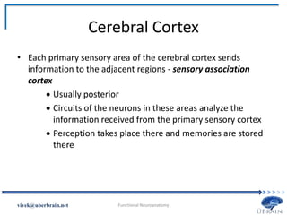 Cerebral Cortex
• Each primary sensory area of the cerebral cortex sends
information to the adjacent regions - sensory association
cortex
 Usually posterior
 Circuits of the neurons in these areas analyze the
information received from the primary sensory cortex
 Perception takes place there and memories are stored
there
Vivek Misra
 