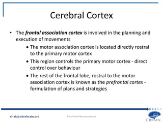 Cerebral Cortex
• The frontal association cortex is involved in the planning and
execution of movements
 The motor association cortex is located directly rostral
to the primary motor cortex
 This region controls the primary motor cortex - direct
control over behaviour
 The rest of the frontal lobe, rostral to the motor
association cortex is known as the prefrontal cortex -
formulation of plans and strategies
Vivek Misra
 