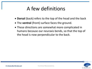 A few definitions
 Dorsal (back) refers to the top of the head and the back
 The ventral (front) surface faces the ground.
 These directions are somewhat more complicated in
humans because our neuraxis bends, so that the top of
the head is now perpendicular to the back.
Vivek Misra
 
