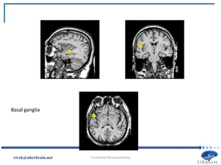 Vivek Misra
Basal ganglia
 