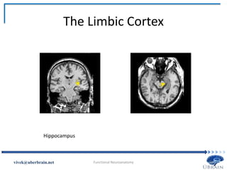 The Limbic Cortex
Vivek Misra
Hippocampus
 