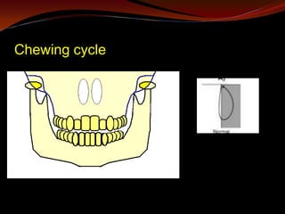 Functional neuroanatomy and physiology of masticatory system | PPTX