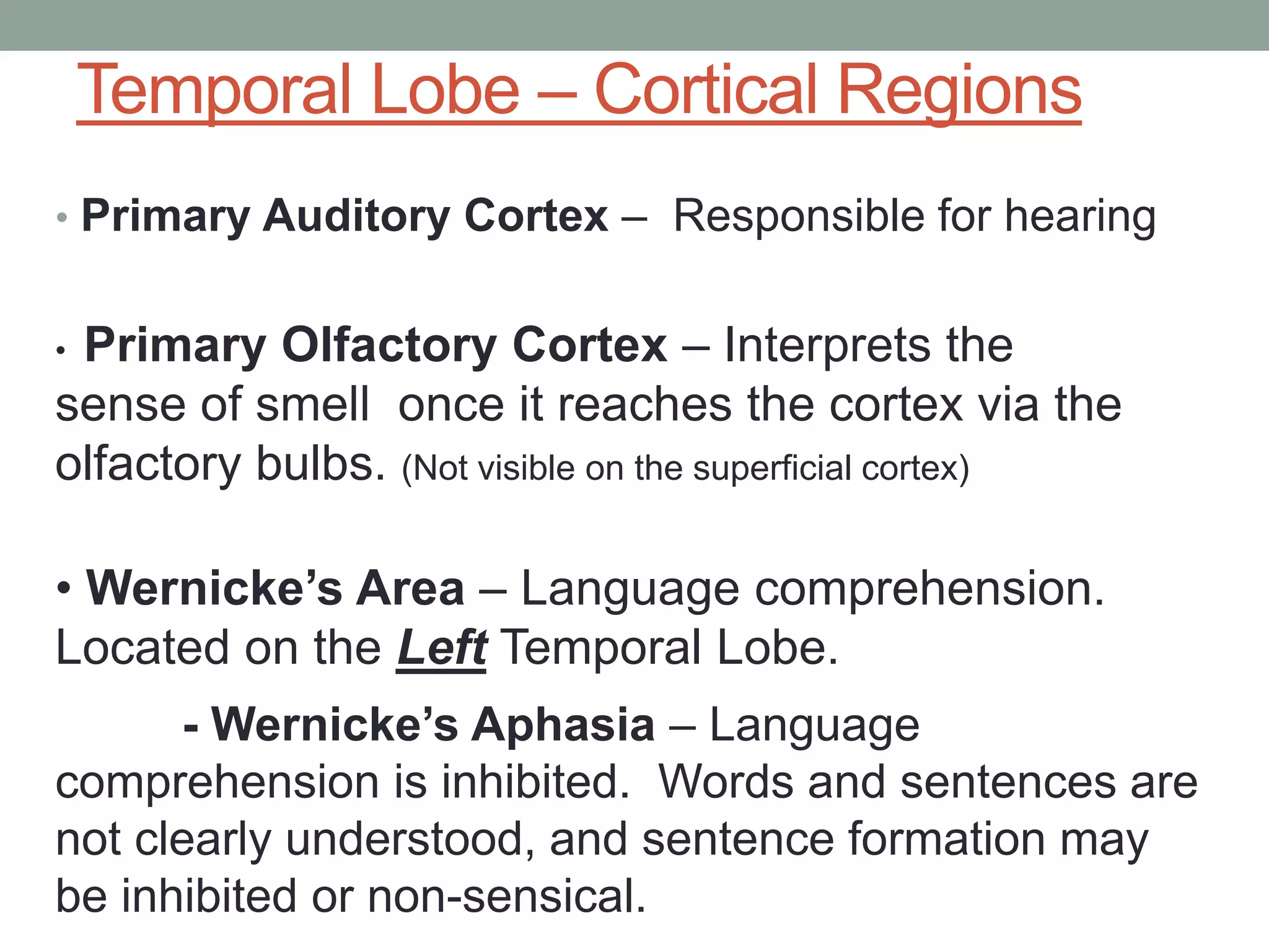 Functional neuroanatomy of brain | PPTX