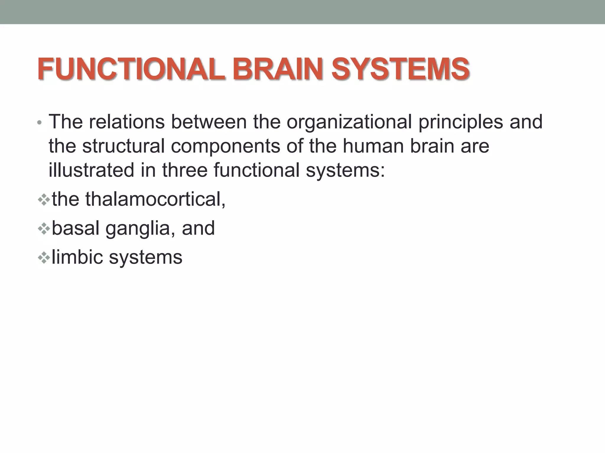Functional neuroanatomy of brain | PPTX