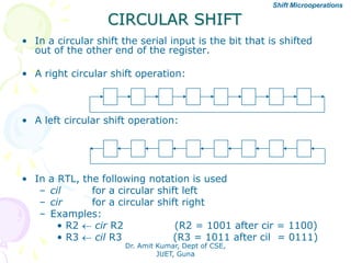 Functional organization | PDF