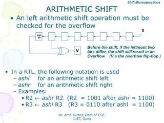 Functional organization | PDF
