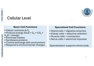 The Functional organization of Human Body | PDF