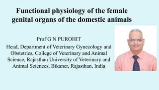 Functional physiology of the female
genital organs of the domestic animals
Prof G N PUROHIT
Head, Department of Veterinary Gynecology and
Obstetrics, College of Veterinary and Animal
Science, Rajasthan University of Veterinary and
Animal Sciences, Bikaner, Rajasthan, India
 