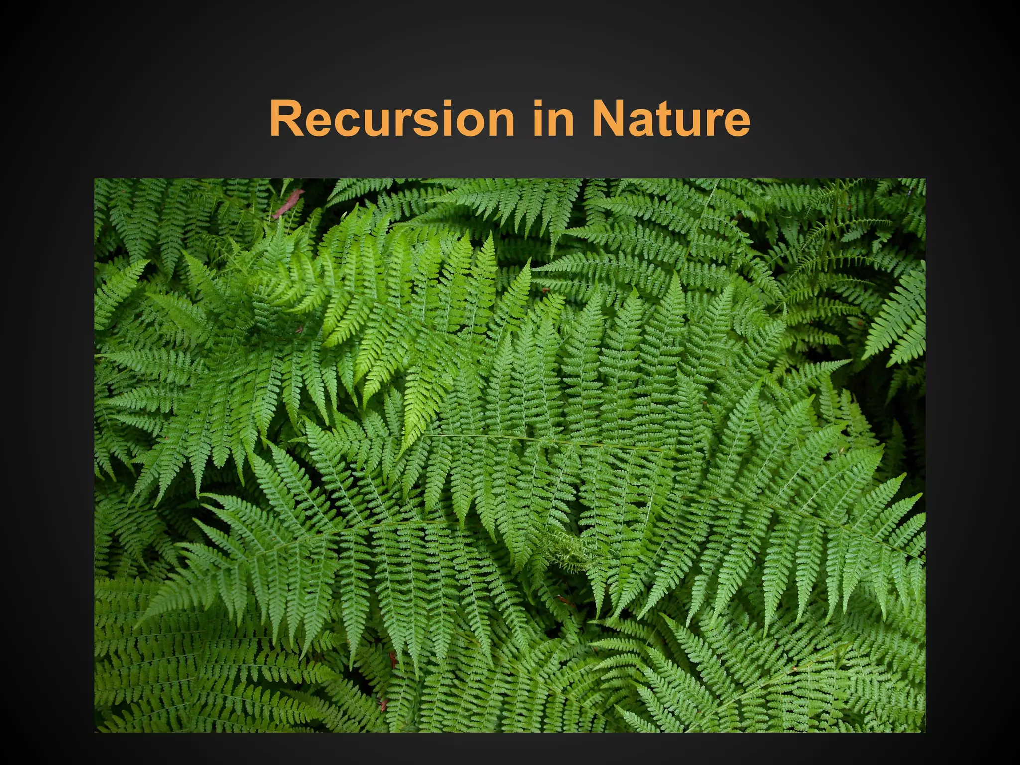 Recursion in Nature
 