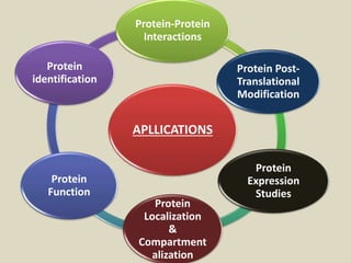 APLLICATIONS
Protein-Protein
Interactions
Protein Post-
Translational
Modification
Protein
Expression
Studies
Protein
Localization
&
Compartment
alization
Protein
Function
Protein
identification
 