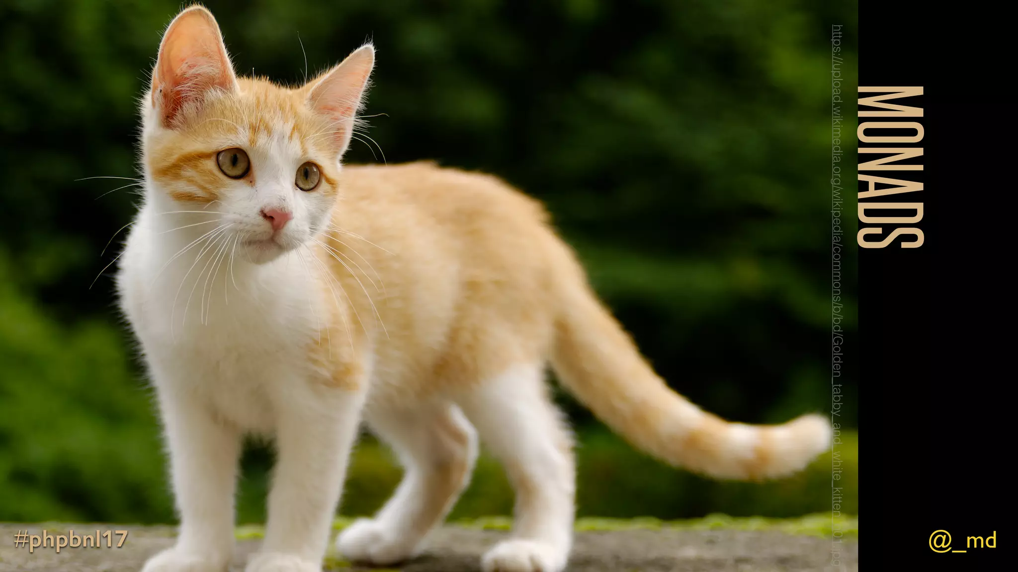 @_md#phpbnl17 interface FlatMap extends Functor  { public function flatMap(callable $f);  } interface Monad extends FlatMap  {  public function flatten();  } 