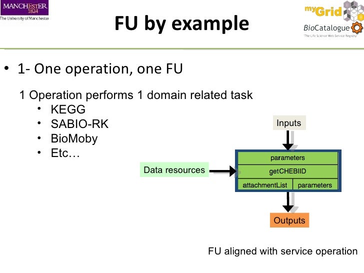 The Functional Units