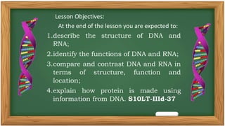 FUnction and Structure of DNA and RNA.pptx