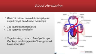 Blood circulation
 Blood circulates around the body by the
way through two distinct pathways;
• The pulmonary circulation
• The systemic circulation
 Together they create a closed pathways
that keep the deoxygenated & oxygenated
blood separated.
 