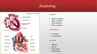 Anatomy
4 layers
• Endo-cardium
• Myo-cardium
• Epi-cardium
• Peri-cardium
4 chambers
• 2 atrium
• 2 ventricles
4 valves
• Mitral
• Aortic
• Tricuspid
• Pulmonary
 