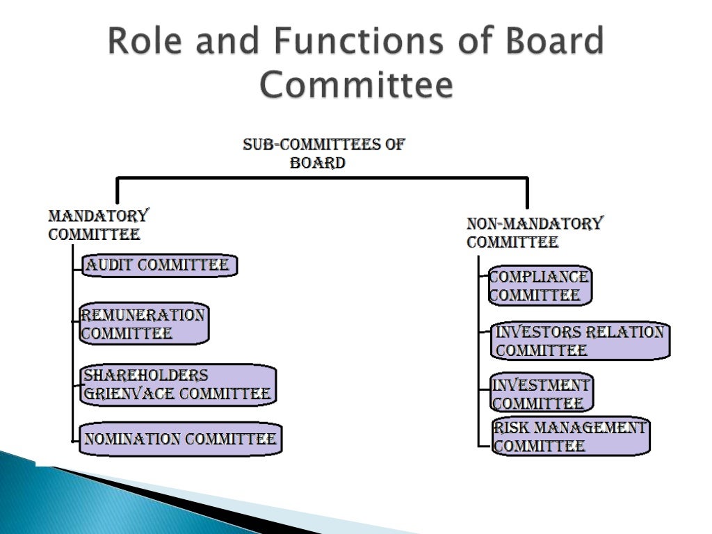 Function of board committee