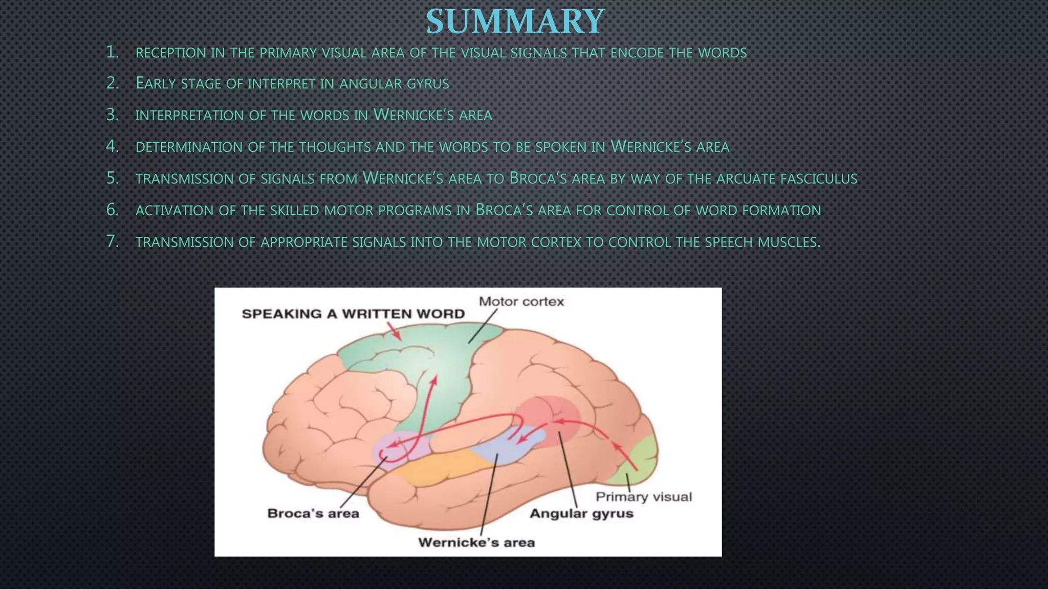 Function of brain in communication | PPTX