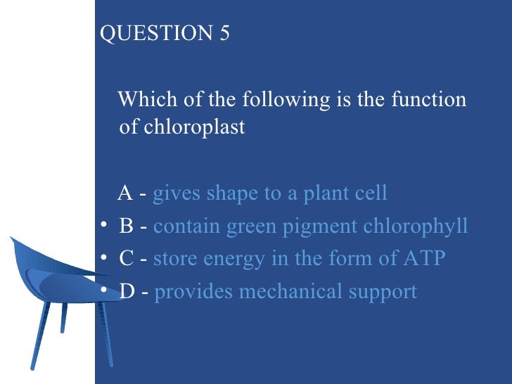 Function Of Cell Bbm