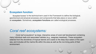 Function of coral reef.. | PPT
