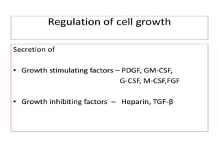 Function of endothelium in health and disease | PPTX