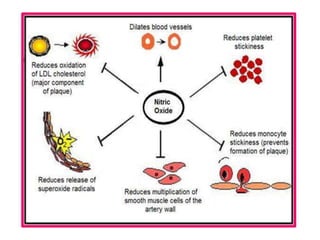 Function of endothelium in health and disease | PPTX