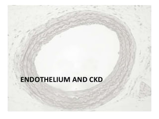 Function of endothelium in health and disease | PPTX