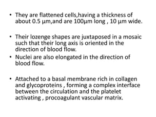Function of endothelium in health and disease | PPTX
