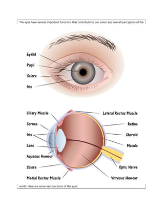 Function Eyes function of eye.docx