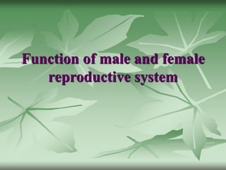 Function of male and female
reproductive system
 